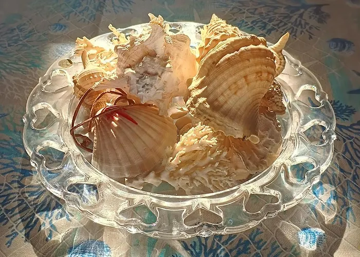 Del Capitano * Sant'Andrea (Sardinia)